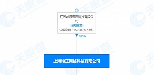 哈啰出行關(guān)聯(lián)公司注冊(cè)資本增至35億人民幣，信息系統(tǒng)集成服務(wù)或成戰(zhàn)略新支點(diǎn)